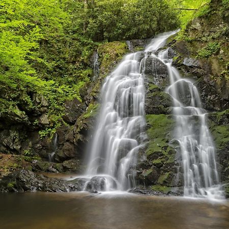 Four Bears Den, Hot Tub, 1089 Of Free Attraction Tickets For Each Paid Day, Dollywood And More Gatlinburg Exteriör bild