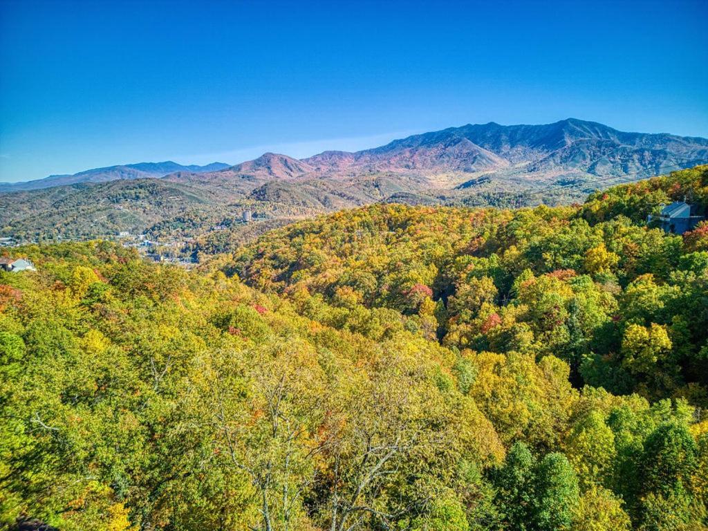 Four Bears Den, Hot Tub, 1089 Of Free Attraction Tickets For Each Paid Day, Dollywood And More Gatlinburg Exteriör bild