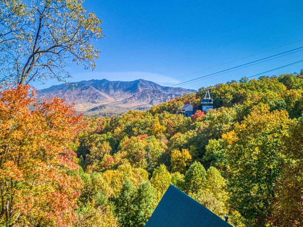 Four Bears Den, Hot Tub, 1089 Of Free Attraction Tickets For Each Paid Day, Dollywood And More Gatlinburg Exteriör bild