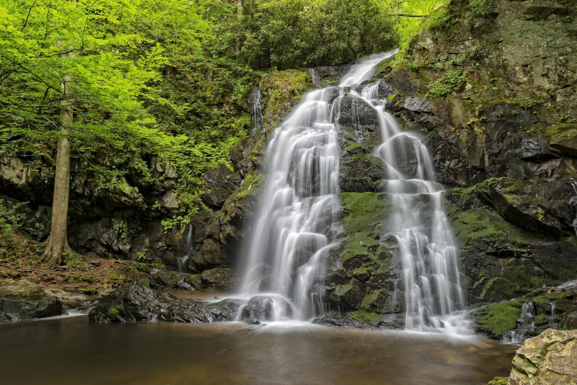 Four Bears Den, Hot Tub, 1089 Of Free Attraction Tickets For Each Paid Day, Dollywood And More Gatlinburg Exteriör bild