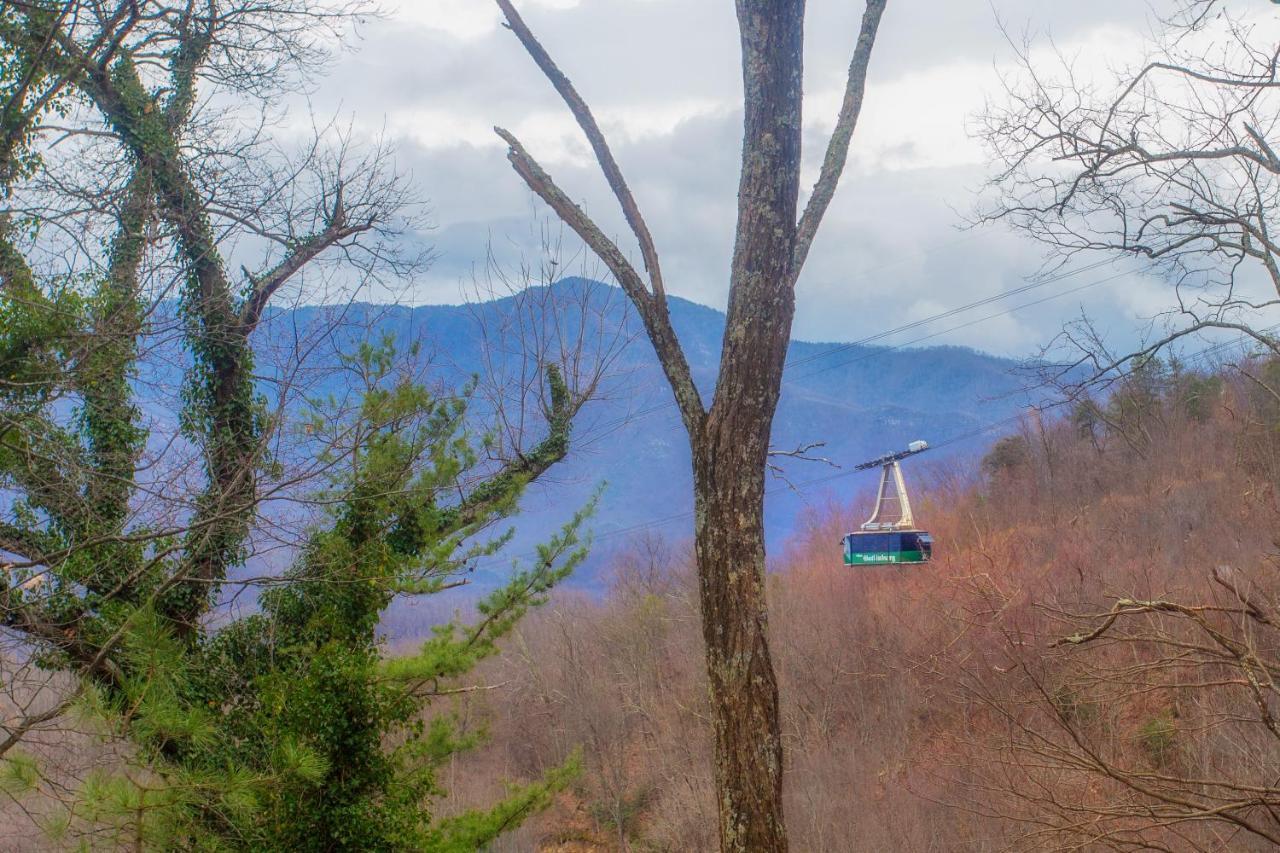 Four Bears Den, Hot Tub, 1089 Of Free Attraction Tickets For Each Paid Day, Dollywood And More Gatlinburg Exteriör bild
